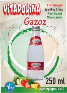 vitadolina gazoz afiş.jpg